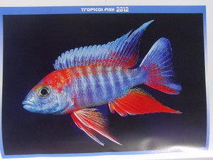 Dsc09887sx