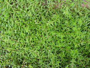 Dsc09022sx