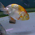 Dsc08957sx