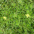 Dsc09036sx