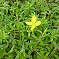Dsc09037sx